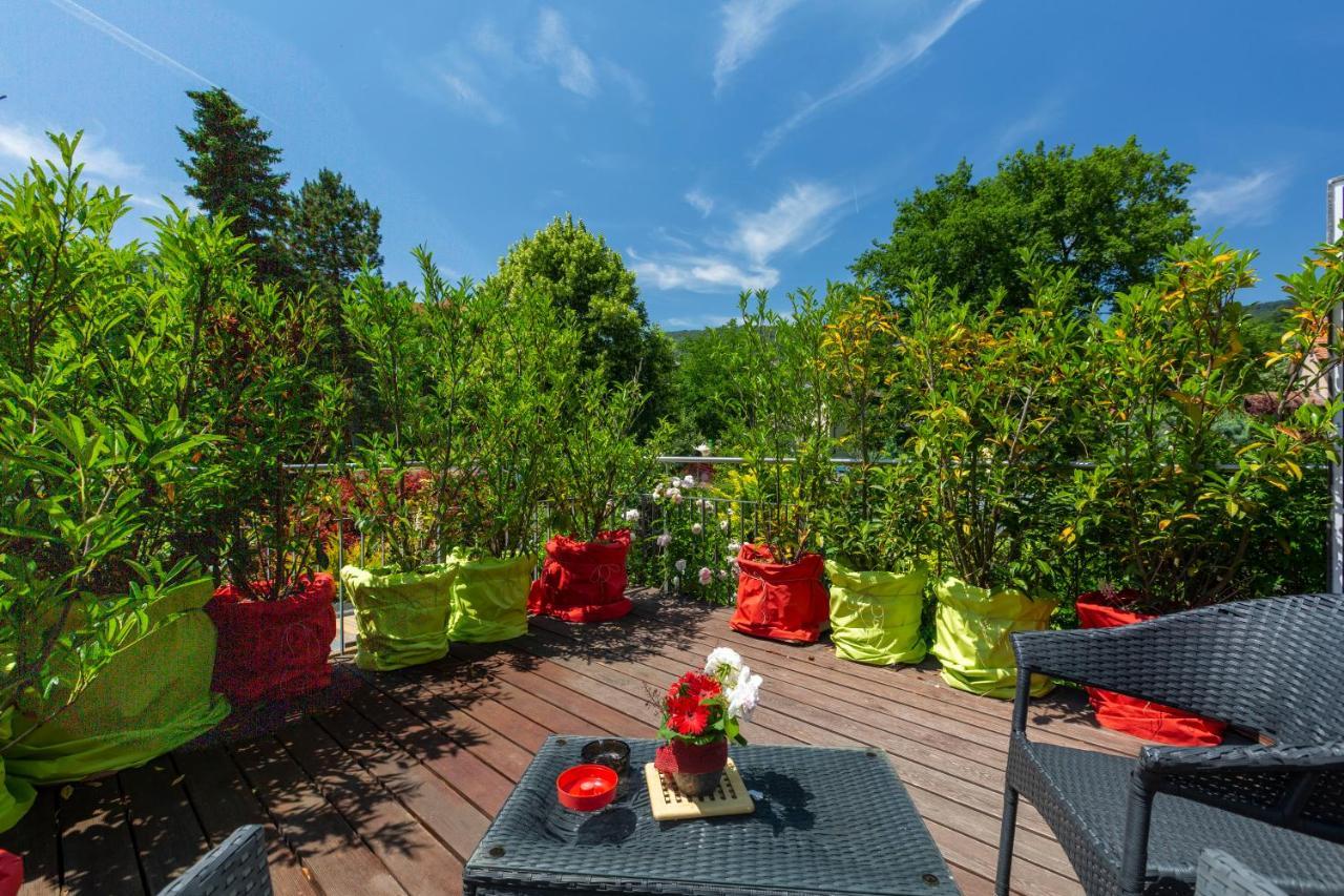 Bnb Comfort Guesthouse Olten - Lostorf Zewnętrze zdjęcie